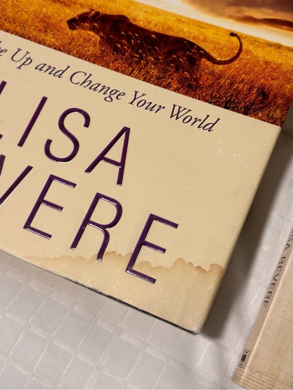 Lioness Arising by Lisa Bevere Hardback Book with Journal/Guide - Picture 4 of 6